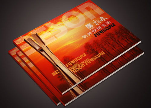 東莞網(wǎng)絡(luò)科技畫冊(cè)印刷 技術(shù)開(kāi)發(fā)與產(chǎn)品宣傳的專業(yè)載體